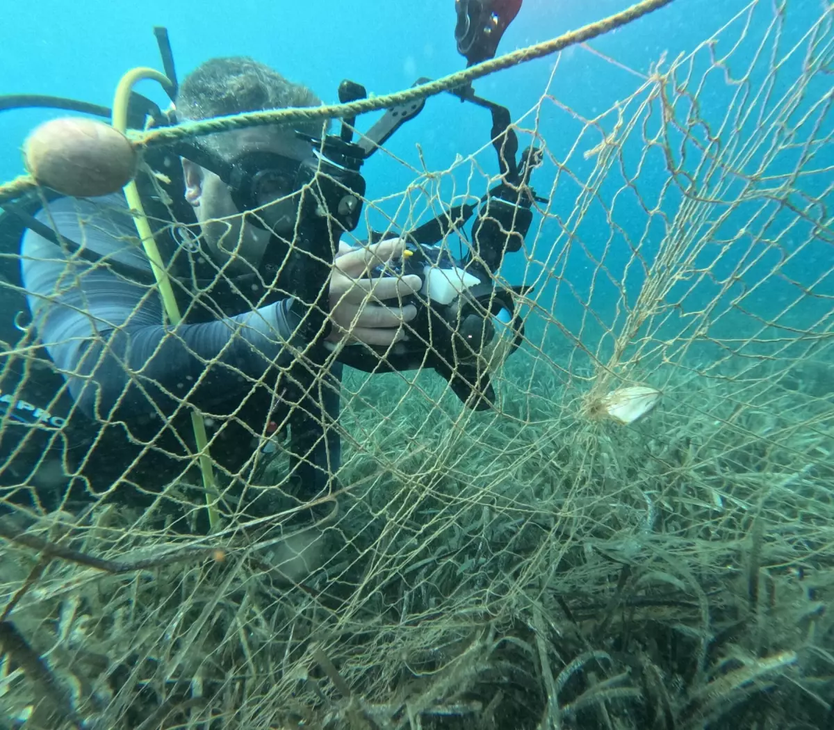 Hayalet Ağ Avcıları Projesi ile Deniz Ekosistemi Korunuyor