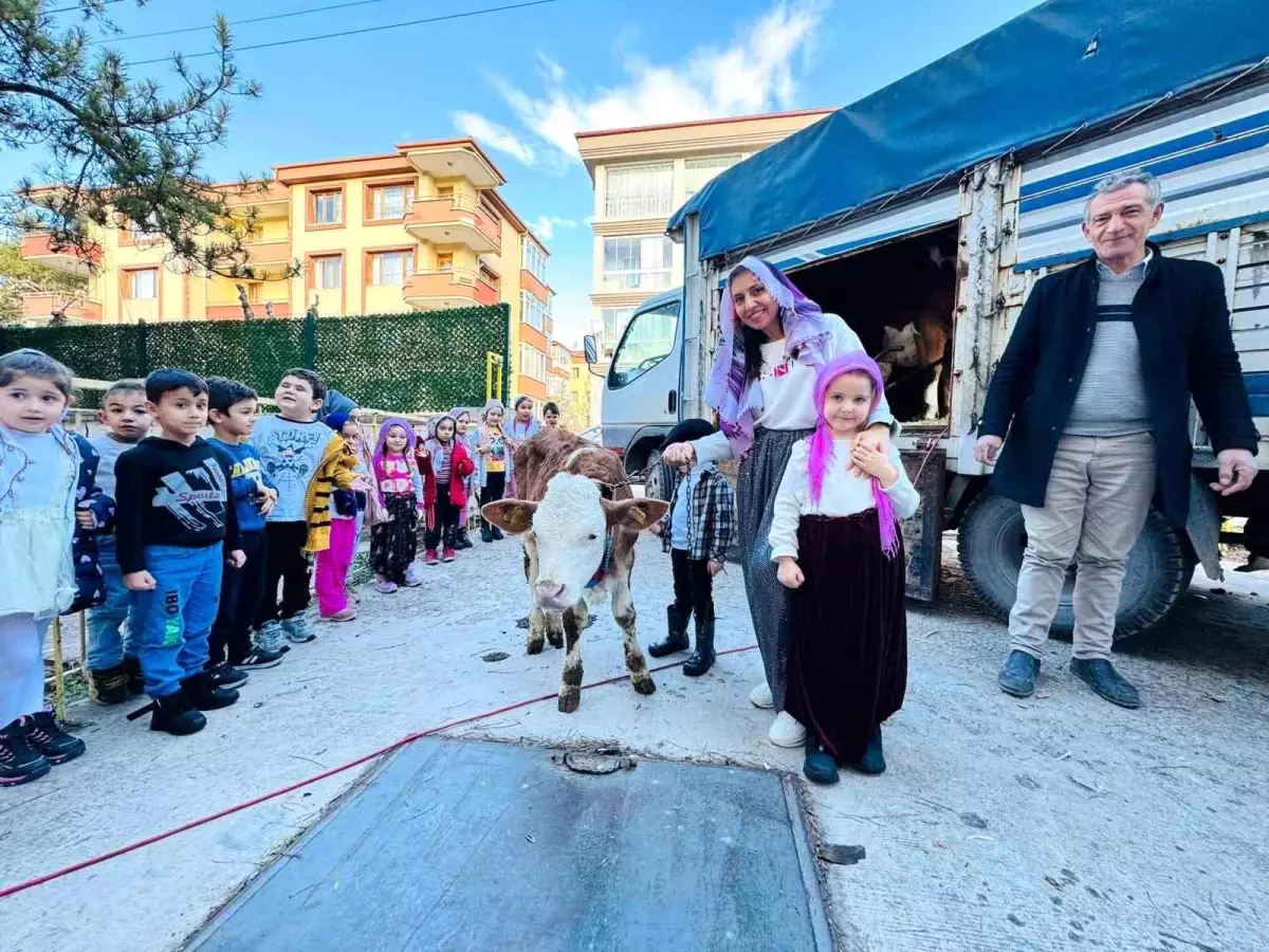 Yerli Malı Haftası’nda Süt Sağım Etkinliği